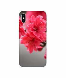 Amazon Brand - Solimo Designer Blossom Like Flower 3D Printed Hard Back Case Mobile Cover for Apple iPhone Xs Max