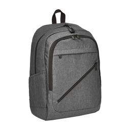 AmazonBasics Anti-Theft Water Resistant Backpack for Laptops up to 43 cm Black