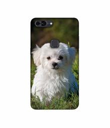 Amazon Brand - Solimo Designer White Dog UV Printed Soft Back Case Mobile Cover for Lava Z90