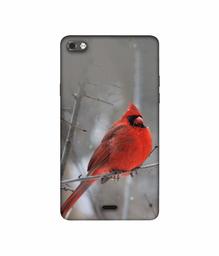 Amazon Brand - Solimo Designer Red Engry Bird 3D Printed Hard Back Case Mobile Cover for Micromax Canvas Sliver 5 Q450