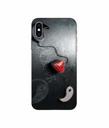 Amazon Brand - Solimo Designer Chinnese Yin and Yang 3D Printed Hard Back Case Mobile Cover for Apple iPhone Xs Max