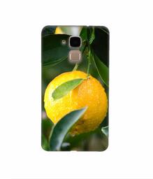 Amazon Brand - Solimo Designer Lemon 3D Printed Hard Back Case Mobile Cover for Huawei Honor 5c