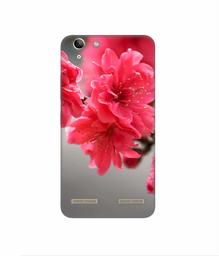 Amazon Brand - Solimo Designer Blossom Like Flower 3D Printed Hard Back Case Mobile Cover for Lenovo Vibe K5