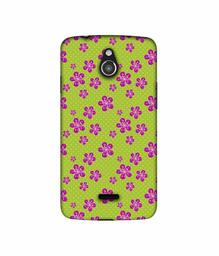 Amazon Brand - Solimo Designer Pink Flower Patterns 3D Printed Hard Back Case Mobile Cover for InFocus M2