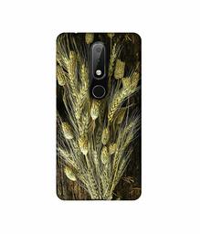 Amazon Brand - Solimo Designer Wheat Plants 3D Printed Hard Back Case Mobile Cover for Nokia 6.1 Plus