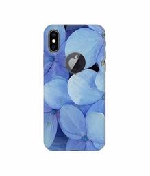 Amazon Brand - Solimo Designer Light Blue Flower Photography 3D Printed Hard Back Case Mobile Cover for Apple iPhone Xs Max (Logo Cut)