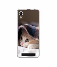 Amazon Brand - Solimo Designer Sleepy Kitten UV Printed Soft Back Case Mobile Cover for Mobiistar C1 Lite