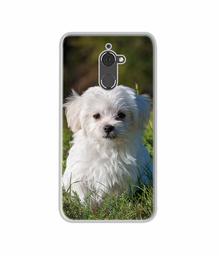 Amazon Brand - Solimo Designer White Dog UV Printed Soft Back Case Mobile Cover for Coolpad Note 5 Lite