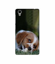 Amazon Brand - Solimo Designer Cute Puppy 3D Printed Hard Back Case Mobile Cover for Vivo Y51L