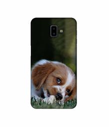 Amazon Brand - Solimo Designer Cute Puppy 3D Printed Hard Back Case Mobile Cover for Samsung Galaxy J6 Plus