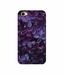 Amazon Brand - Solimo Designer Purple Flowers UV Printed Soft Back Case Mobile Cover for Vivo V5 Plus