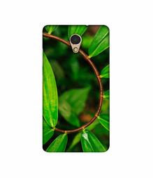 Amazon Brand - Solimo Designer Leaf Photography 3D Printed Hard Back Case Mobile Cover for Lenovo P2