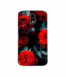 Amazon Brand - Solimo Designer Rose Photography 3D Printed Hard Back Case Mobile Cover for Motorola Moto G4 Plus (with Logo Cut)