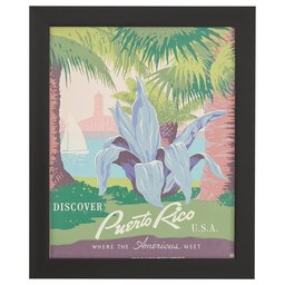 Amazon Brand – Rivet Vintage U.S. Parks Puerto Rico Print, Black Barnwood Frame, 19