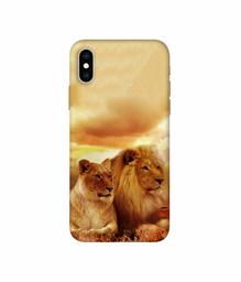 Amazon Brand - Solimo Designer Lion with Lioness 3D Printed Hard Back Case Mobile Cover for Apple iPhone Xs Max