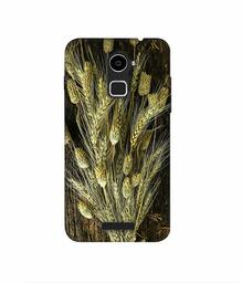 Amazon Brand - Solimo Designer Wheat Plants 3D Printed Hard Back Case Mobile Cover for Coolpad Note 3 Lite