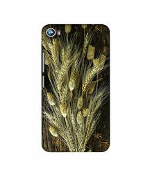 Amazon Brand - Solimo Designer Wheat Plants 3D Printed Hard Back Case Mobile Cover for Micromax Canvas Fire 4 A107