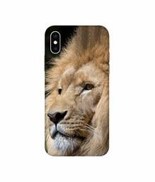 Amazon Brand - Solimo Designer Lion 3D Printed Hard Back Case Mobile Cover for Apple iPhone Xs Max