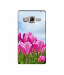 Amazon Brand - Solimo Designer Pink Lily 3D Printed Hard Back Case Mobile Cover for Samsung Z3