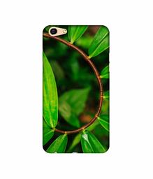 Amazon Brand - Solimo Designer Leaf Photography 3D Printed Hard Back Case Mobile Cover for Oppo F3