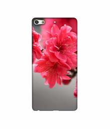 Amazon Brand - Solimo Designer Blossom Like Flower 3D Printed Hard Back Case Mobile Cover for Gionee Elife S7