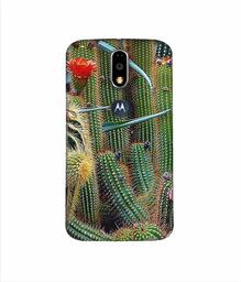 Amazon Brand - Solimo Designer Cactus 3D Printed Hard Back Case Mobile Cover for Motorola Moto G4 Plus (with Logo Cut)