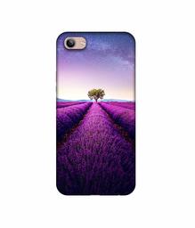 Amazon Brand - Solimo Designer Farm Photography 3D Printed Hard Back Case Mobile Cover for Vivo Y81i