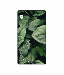 Amazon Brand - Solimo Designer Leafs 3D Printed Hard Back Case Mobile Cover for Sony Xperia Z2