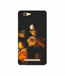 Amazon Brand - Solimo Designer Roses 3D Printed Hard Back Case Mobile Cover for Gionee F103 Pro