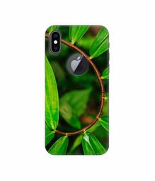 Amazon Brand - Solimo Designer Leaf Photography 3D Printed Hard Back Case Mobile Cover for Apple iPhone Xs Max (Logo Cut)