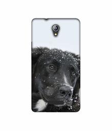 Amazon Brand - Solimo Designer Labrador Dog 3D Printed Hard Back Case Mobile Cover for Micromax Canvas Pace 4G Q416