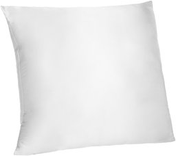 AmazonBasics Pinzon Mulberry Silk and Cotton Reversible Cushion Cover, 80x80cm