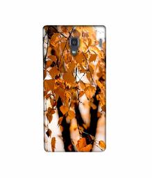 Amazon Brand - Solimo Designer Autumn Photography 3D Printed Hard Back Case Mobile Cover for Xiaomi Redmi 1S