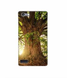 Amazon Brand - Solimo Designer Tree Trunk 3D Printed Hard Back Case Mobile Cover for Oppo Neo 7