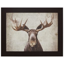 Amazon Brand – Stone & Beam Modern Moose Print, Espresso Frame, 37.5