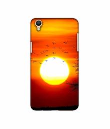 Amazon Brand - Solimo Designer Sunset View 3D Printed Hard Back Case Mobile Cover for Oppo F1 Plus