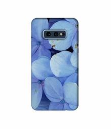 Amazon Brand - Solimo Designer Light Blue Flower Photography 3D Printed Hard Back Case Mobile Cover for Samsung Galaxy S10e