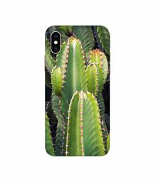 Amazon Brand - Solimo Designer Desert Plant 3D Printed Hard Back Case Mobile Cover for Apple iPhone Xs Max