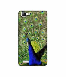 Amazon Brand - Solimo Designer Peacock 3D Printed Hard Back Case Mobile Cover for Vivo V1