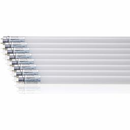 AmazonBasics Professional T8 LED Tube 1200mm, 1600lumens, 14.5W (equivalent to 36W), Cool White, 6500K, G13 - Pack of 8