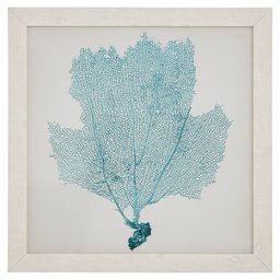 Amazon Brand – Stone & Beam Classic Seafoam Blue Sea Fan Coral Coastal Print Wall Art Decor - 23