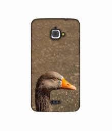 Amazon Brand - Solimo Designer Duck Face 3D Printed Hard Back Case Mobile Cover for InFocus M350