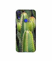 Amazon Brand - Solimo Designer Desert Plant 3D Printed Hard Back Case Mobile Cover for Xiaomi Redmi Note 7 Pro