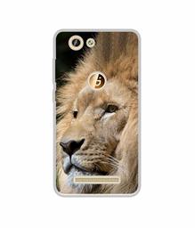 Amazon Brand - Solimo Designer Lion UV Printed Soft Back Case Mobile Cover for Gionee F103 Pro