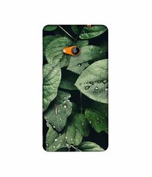 Amazon Brand - Solimo Designer Leafs 3D Printed Hard Back Case Mobile Cover for Microsoft Lumia 535