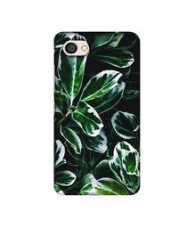 Amazon Brand - Solimo Designer Leaf Imperation 3D Printed Hard Back Case Mobile Cover for Xiaomi Redmi Y1 Lite