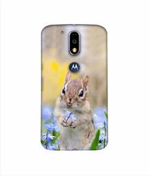 Amazon Brand - Solimo Designer Squirrel 3D Printed Hard Back Case Mobile Cover for Motorola Moto G4 Plus (with Logo Cut)