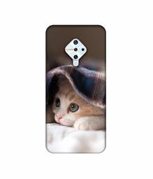 Amazon Brand - Solimo Designer Sleepy Kitten 3D Printed Hard Back Case Mobile Cover for Vivo S1 Pro