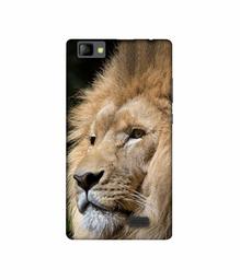 Amazon Brand - Solimo Designer Lion UV Printed Soft Back Case Mobile Cover for Lyf Wind 7