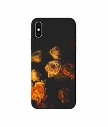 Amazon Brand - Solimo Designer Roses 3D Printed Hard Back Case Mobile Cover for Apple iPhone Xs Max